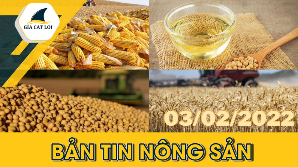 phan-tich-nong-san-03-02-2022