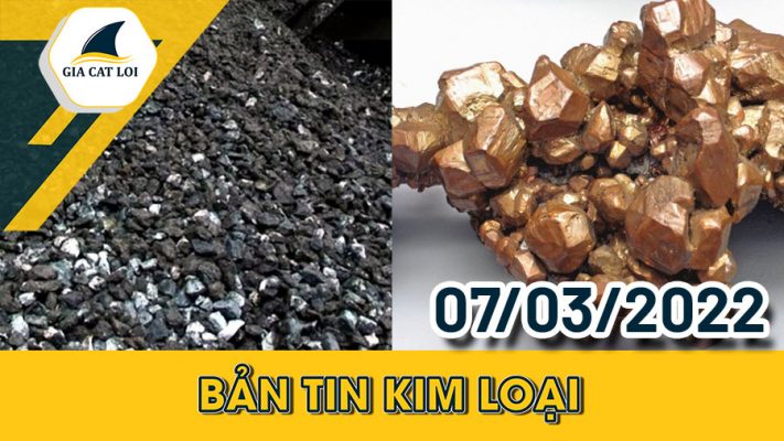 Phân Tích Nhóm Kim Loại 07/03/2022