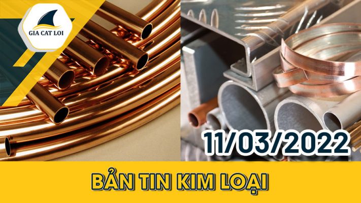 Nhóm Kim Loại 11/03/2022