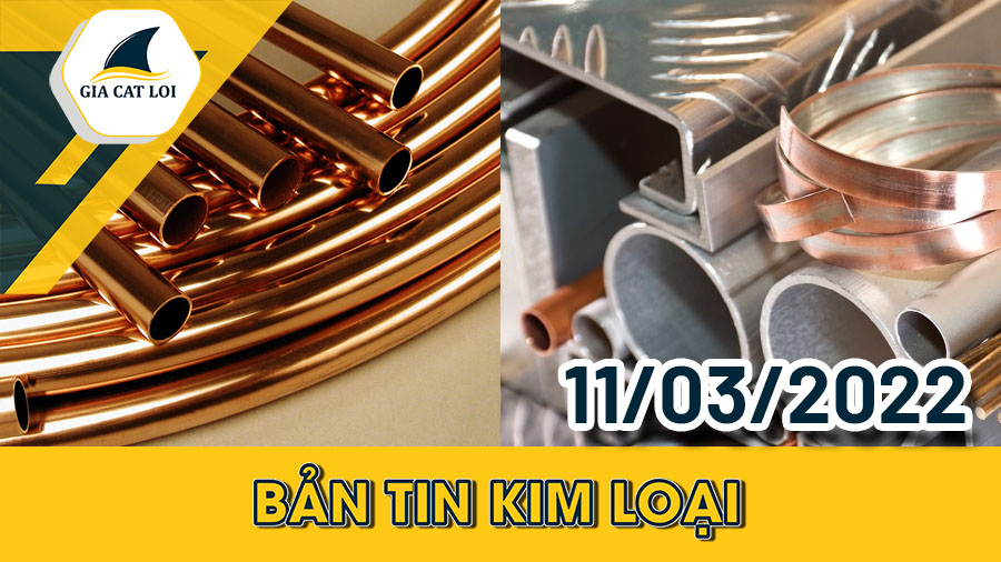 Nhóm Kim Loại 11/03/2022