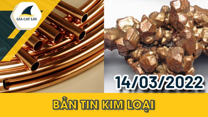 Phân Tích Nhóm Kim Loại 14/03/2022