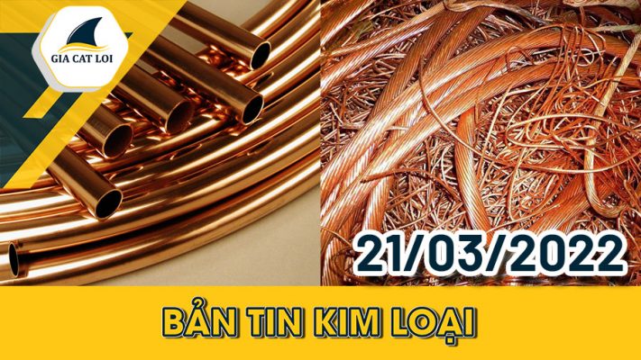 Phân Tích Nhóm Kim Loại 21/03/2022