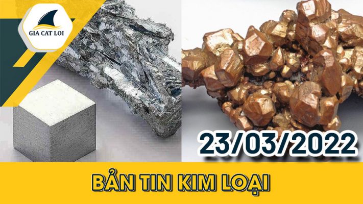 Phân Tích Nhóm Kim Loại 23/03/2022