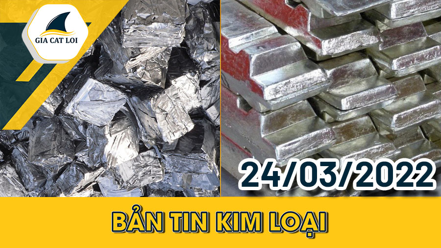 Phân Tích Nhóm Kim Loại 24/03/2022