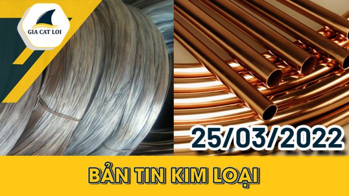 Phân Tích Nhóm Kim Loại 25/03/2022