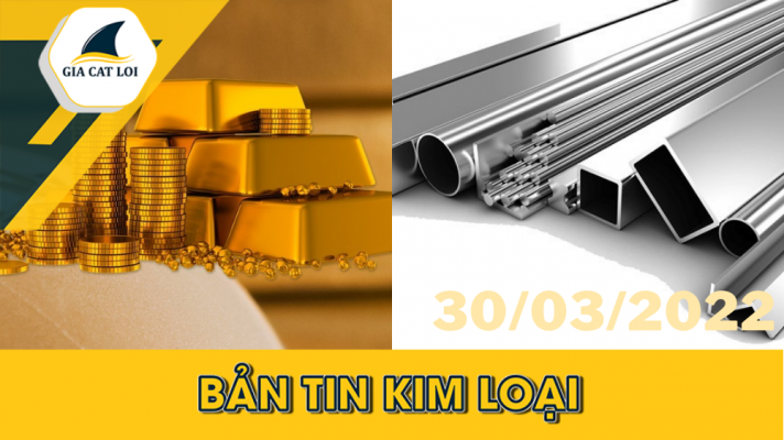 Phân Tích Nhóm Kim Loại 30/03/2022