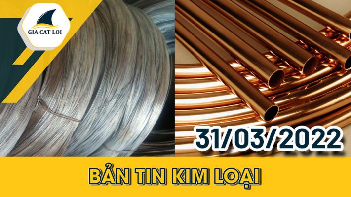 Phân Tích Nhóm Kim Loại 31/03/2022