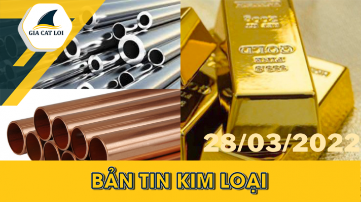Phân Tích Nhóm Kim Loại 28/03/2022