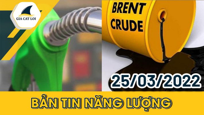 Phân Tích Nhóm Năng Lượng 25/03/2022
