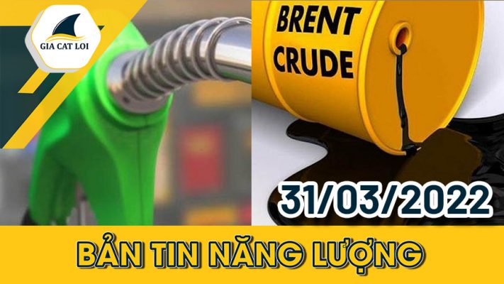 Phân Tích Nhóm Năng Lượng Ngày 31/03/2022