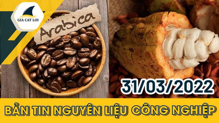 Nhóm Nguyên Liệu Công Nghiệp 31/03/2022