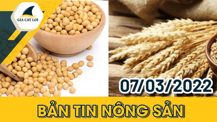 Phân Tích Nhóm Nông Sản 07/03/2022