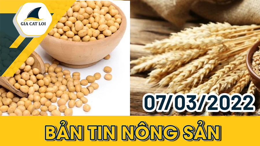 Phân Tích Nhóm Nông Sản 07/03/2022