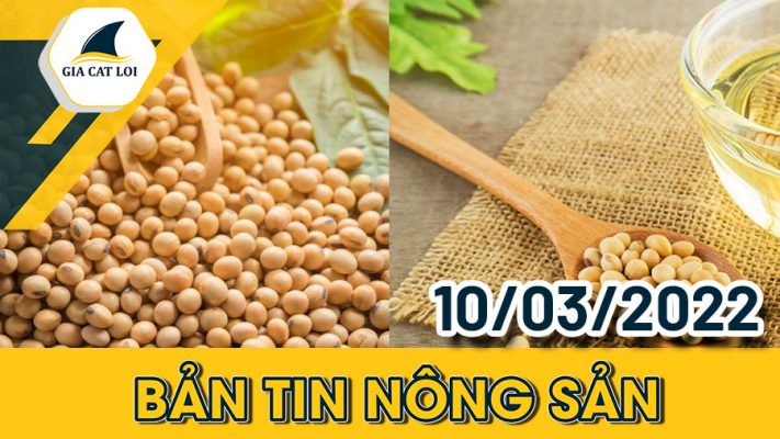 Phân Tích Nhóm Nông Sản 10/03/2022