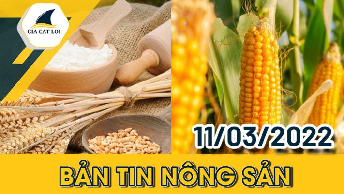 Phân Tích Nhóm Nông Sản 11/03/2022