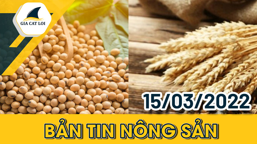 Phân Tích Nhóm Nông Sản 15/03/2022