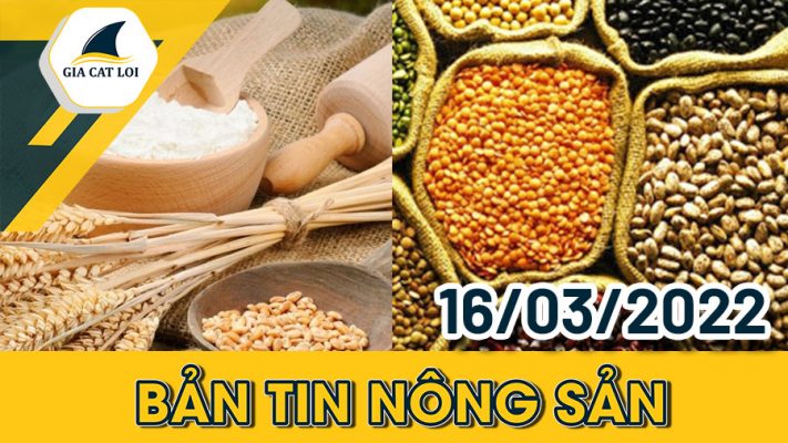 Phân Tích Nhóm Nông Sản 16/03/2022