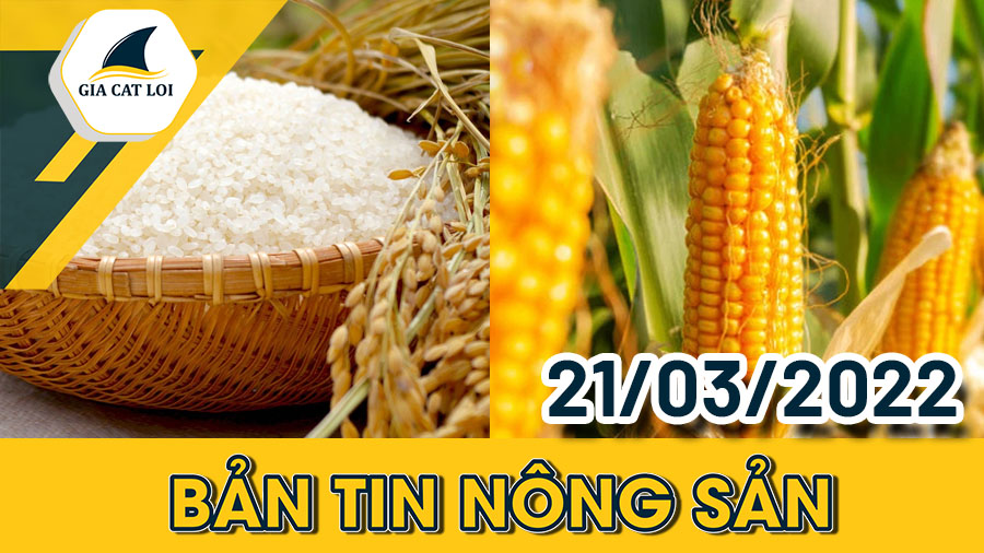 Phân Tích Nhóm Nông Sản 21/03/2022