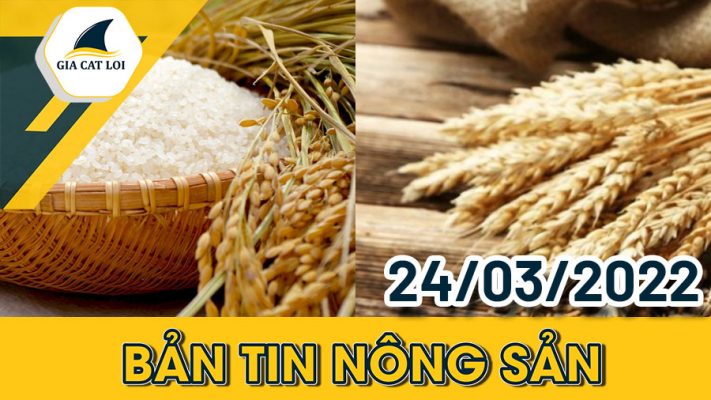 Phân Tích Nhóm Nông Sản 24/03/2022