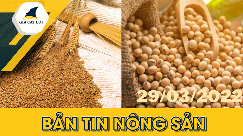 Phân Tích Nhóm Nông Sản 29/03/2022