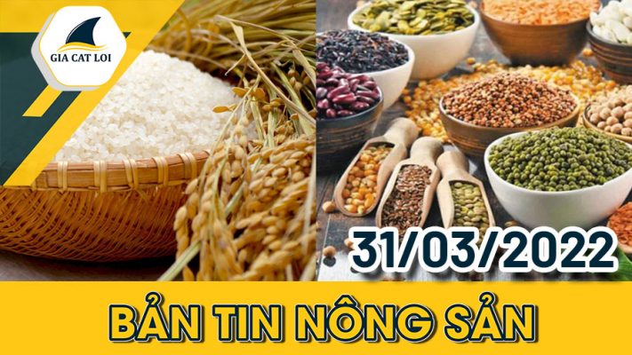 Phân Tích Nhóm Nông Sản 31/03/2022
