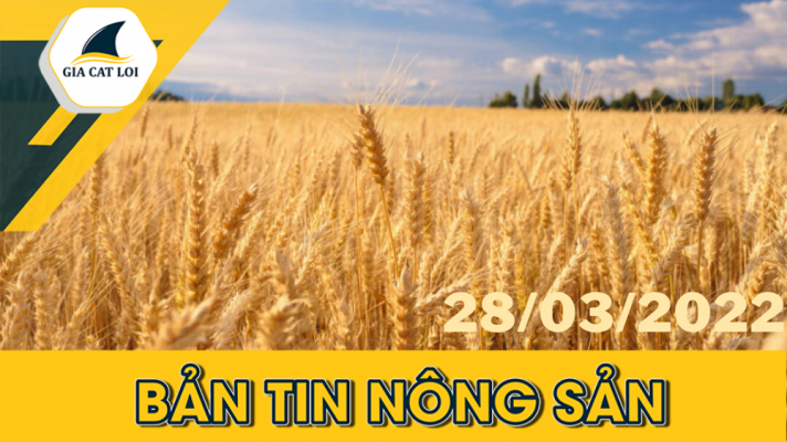 Phân Tích Nhóm Nông Sản 28/03/2022
