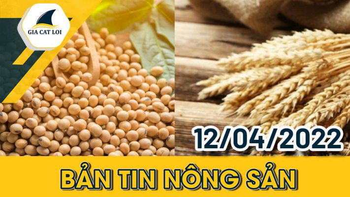 Phân Tích Nhóm Nông Sản Ngày 12/04/2022