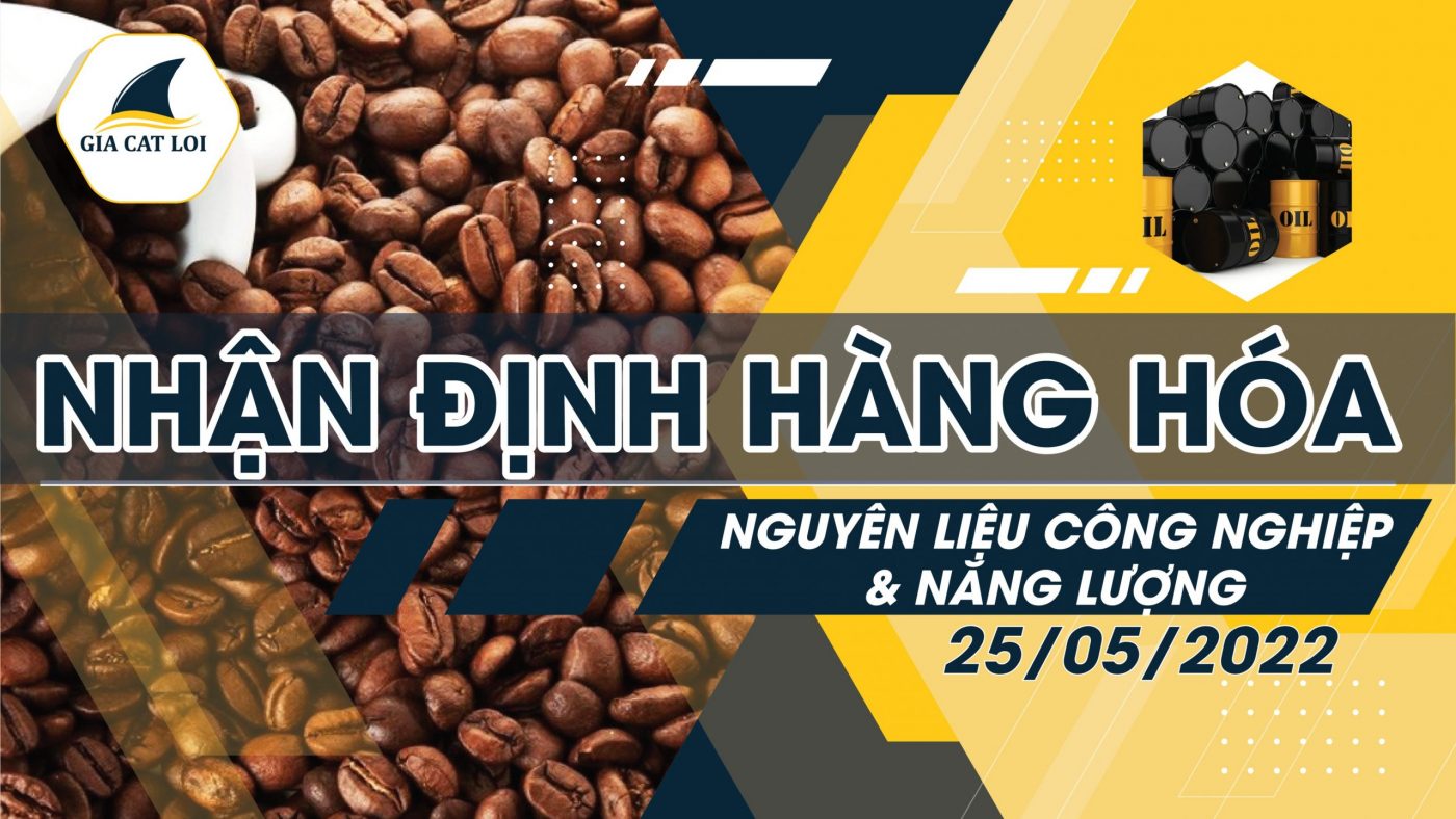 Năng Lượng & Nguyên Liệu Công Nghiệp Ngày 25/05/2022