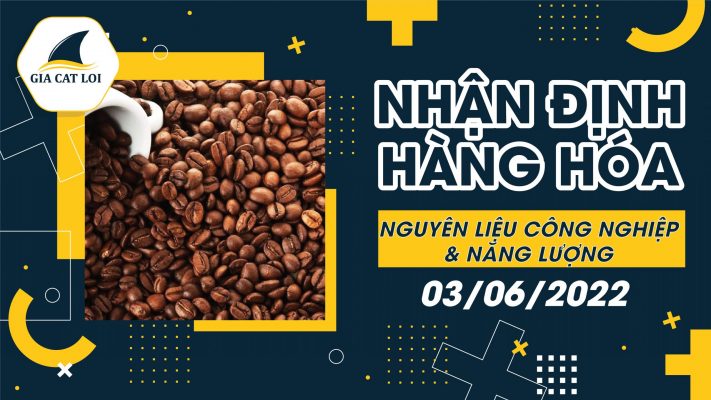 Năng Lượng & Nguyên Liệu Công Nghiệp 03/06/2022