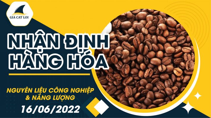 Năng Lượng & Nguyên Liệu Công Nghiệp 16/06/2022