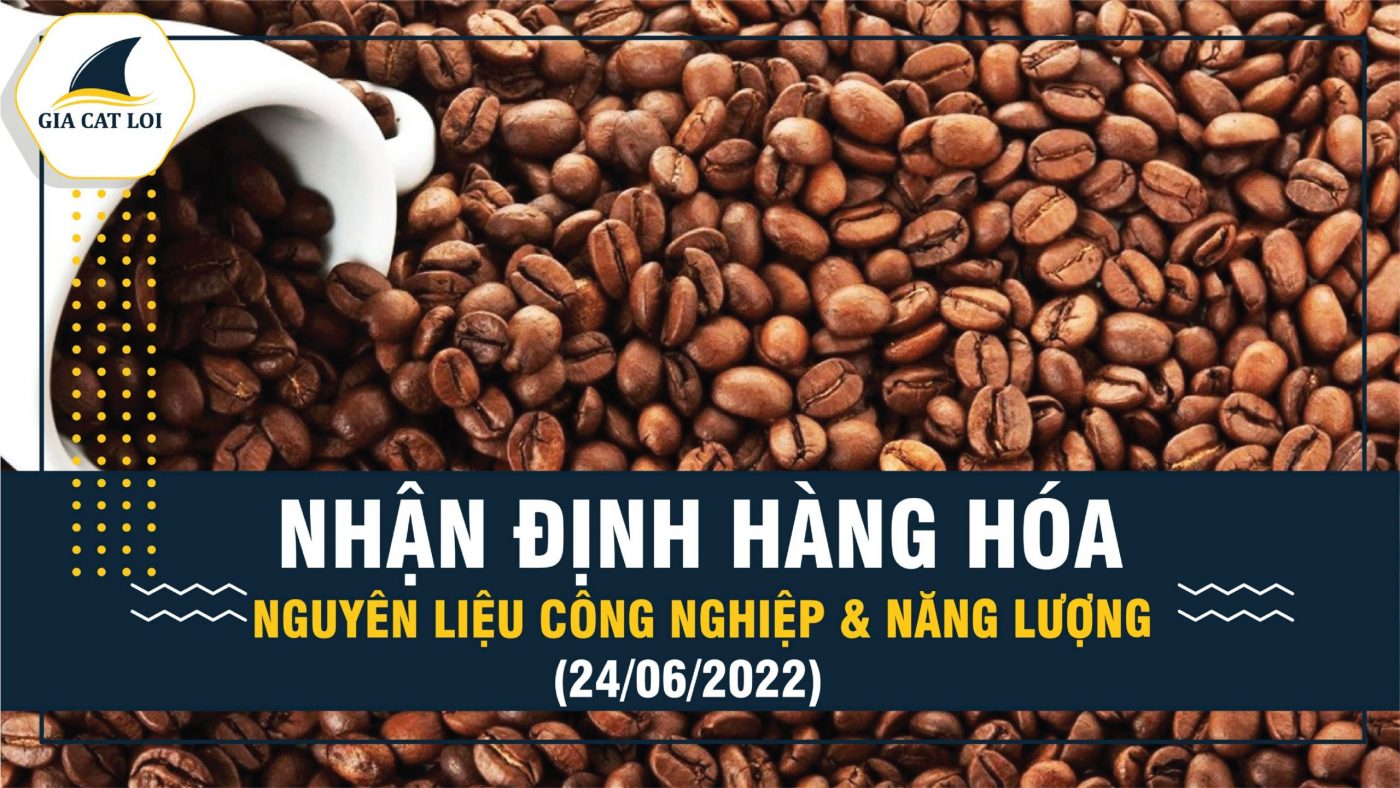 Năng Lượng & Nguyên Liệu Công Nghiệp 24/06/2022