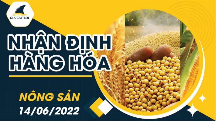 Nhận Định Thị Trường Nông Sản 14/06/2022
