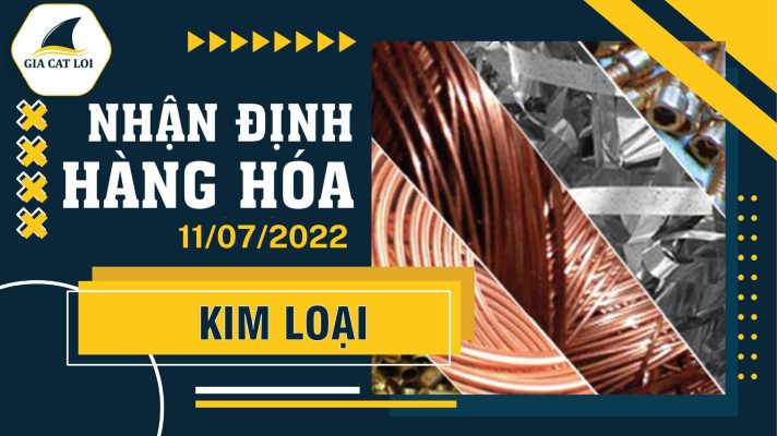 Nhận Định Thị Trường Kim Loại Ngày 11/07/2022