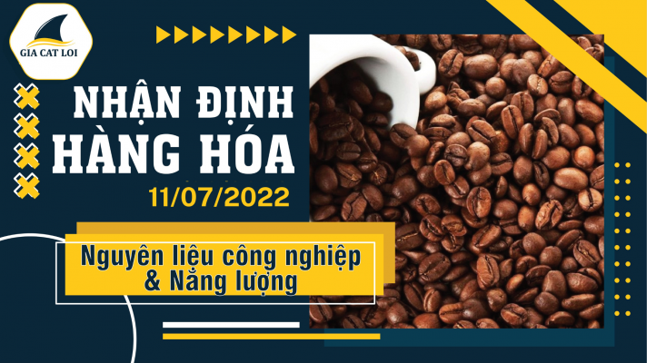 Năng Lượng & Nguyên Liệu Công Nghiệp 11/07/2022