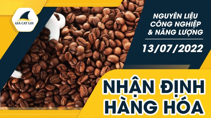 Năng Lượng & Nguyên Liệu Công Nghiệp 13/07/2022