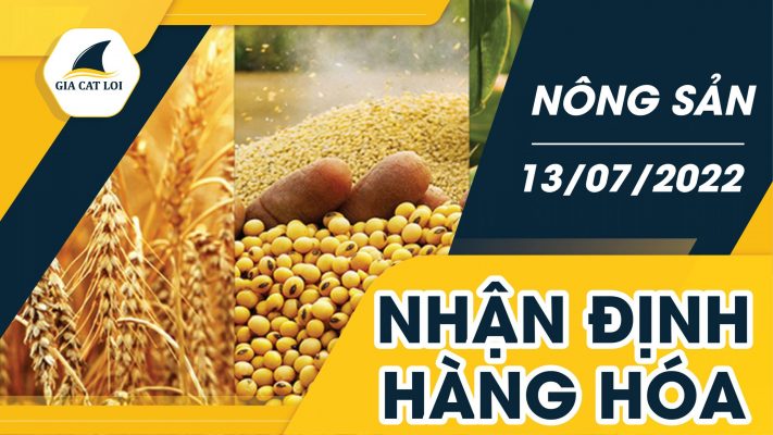 Nhận Định Thị Trường Nông Sản Ngày 13/07/2022