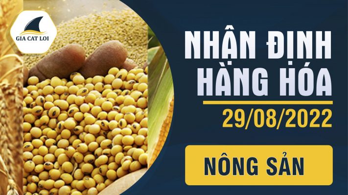 Nhận Định Thị Trường Nông Sản Ngày 29/08/2022