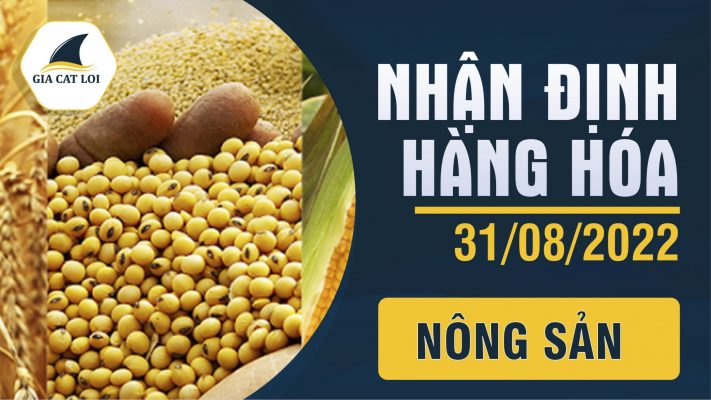 Nhận Định Thị Trường Nông Sản Ngày 31/08/2022