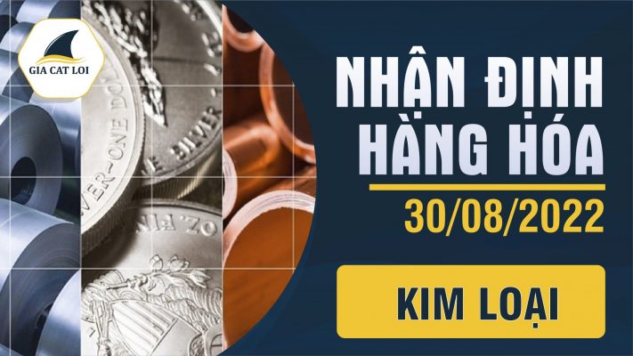 Nhận Định Thị Trường Kim Loại Ngày 30/08/2022