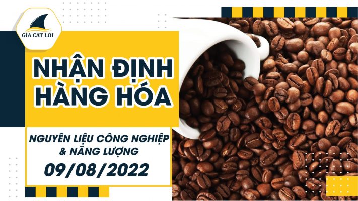 Năng Lượng & Nguyên Liệu Công Nghiệp Ngày 09/08/2022