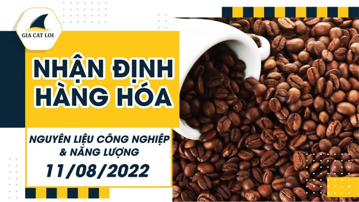 Năng Lượng & Nguyên Liệu Công Nghiệp Ngày 11/08/2022