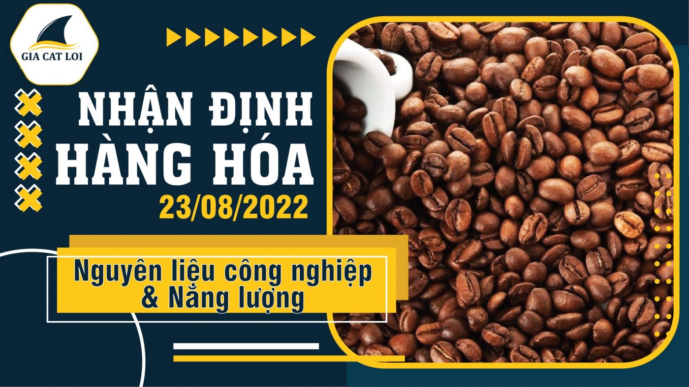 Năng Lượng & Nguyên Liệu Công Nghiệp Ngày 23/08/2022