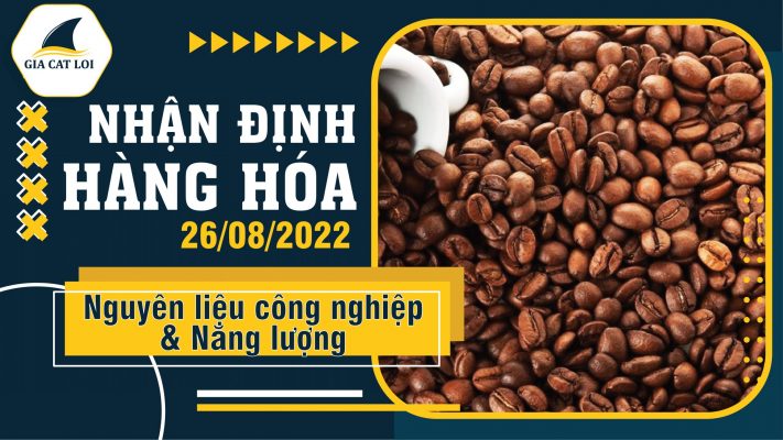 Năng Lượng & Nguyên Liệu Công Nghiệp Ngày 26/08/2022