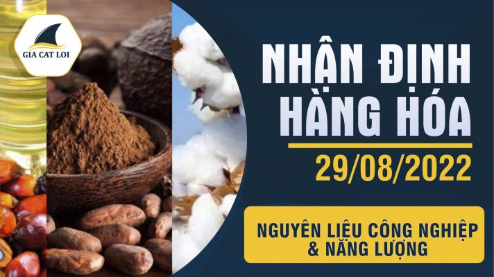 Năng Lượng & Nguyên Liệu Công Nghiệp Ngày 29/08/2022