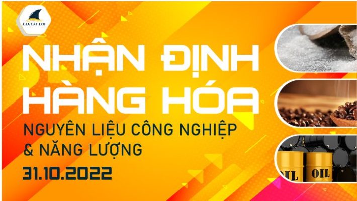Năng Lượng & Nguyên Liệu Công Nghiệp Ngày 31/10/2022