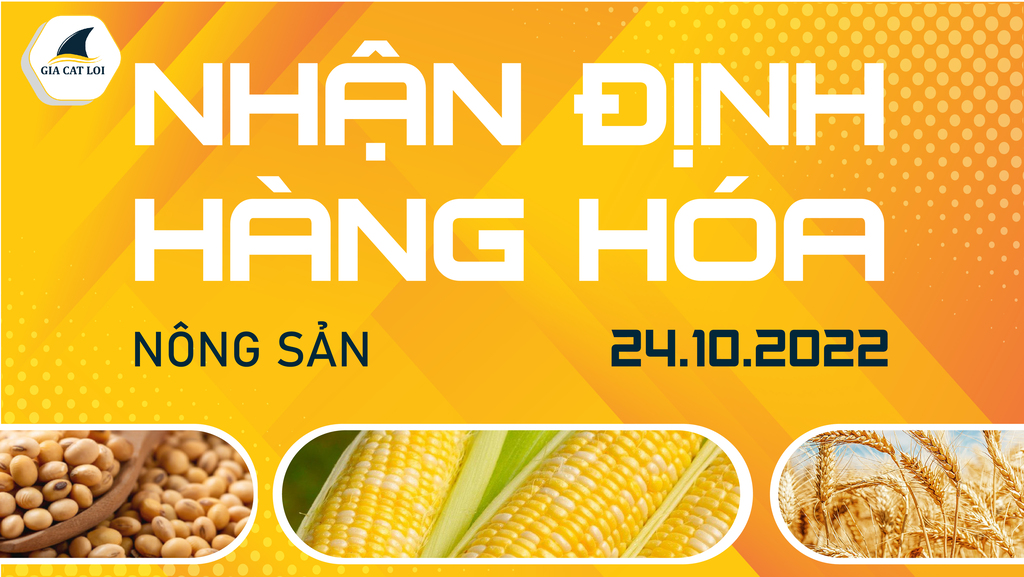 Nhận Định Thị Trường Nông Sản Ngày 24/10/2022