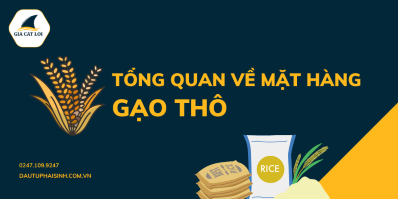 Tổng quan về mặt hàng gạo thô